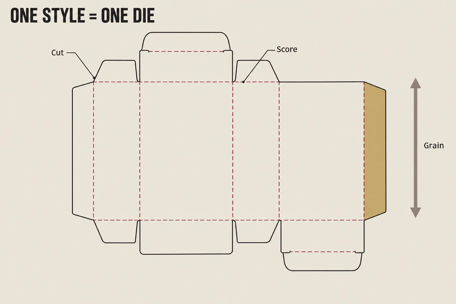Folding carton dieline showing cut lines, dashed score lines, the glue flap and grain direction, illustrating why each style needs its own cutting die